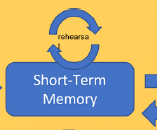 Memory diagram linking to COG Learning Theory infographic